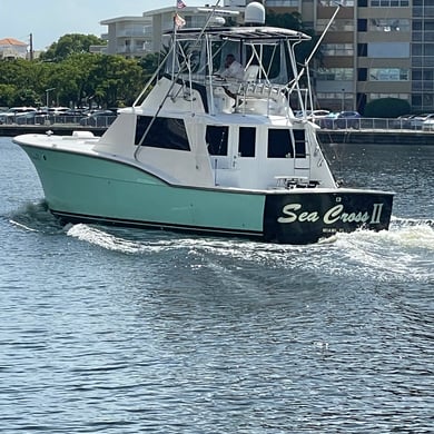 Fishing in Miami Beach