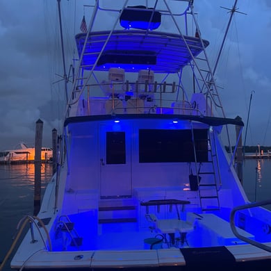 Fishing in Miami Beach