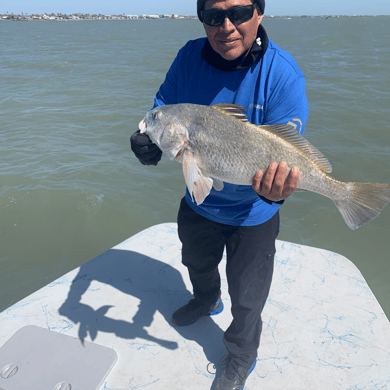 Fishing in Corpus Christi