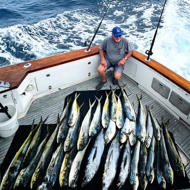 Mahi Mahi