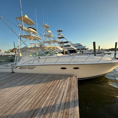 Fishing in Port Aransas