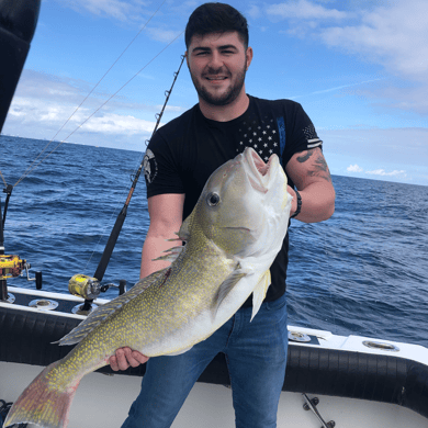 Fishing in Miami Beach