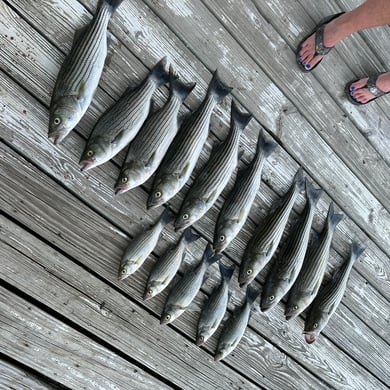 Fishing in Buchanan Dam