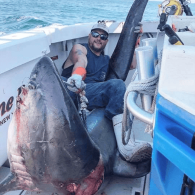 chartered fishing trips