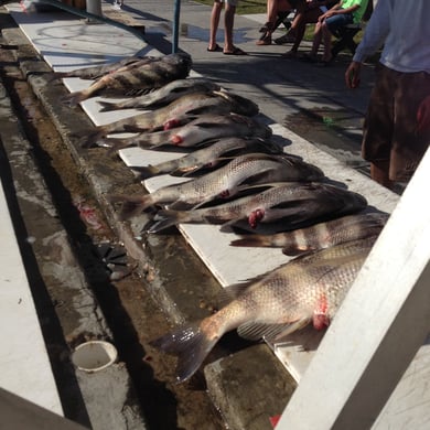 Fishing in Gulf Breeze