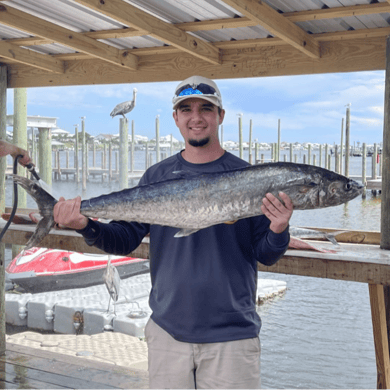 Fishing in Gulf Shores