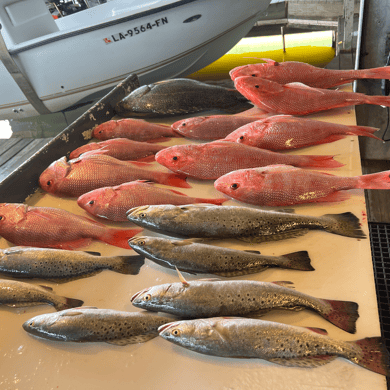 Fishing in Boothville-Venice