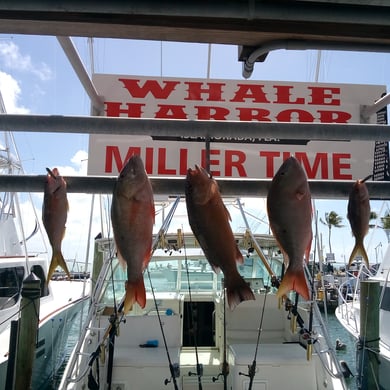 Fishing in Islamorada