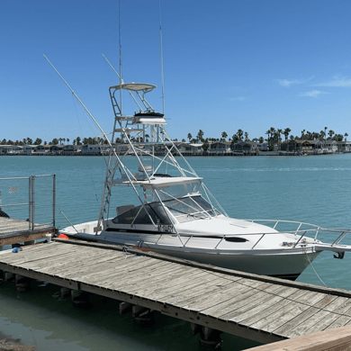 Fishing in Port Isabel