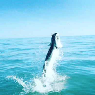 Fishing in Fort Pierce