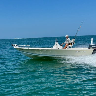 Fishing in Clearwater