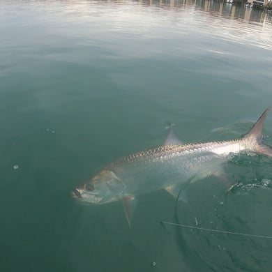 Fishing in New Smyrna Beach