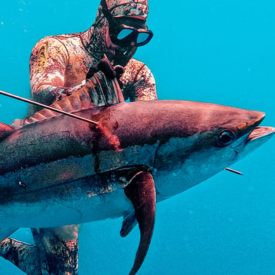 Fishing in La Cruz de Huanacaxtle