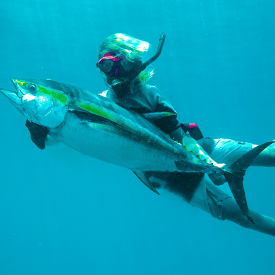 Fishing in La Cruz de Huanacaxtle