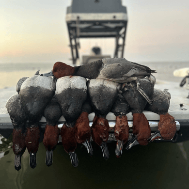 Hunting in Corpus Christi