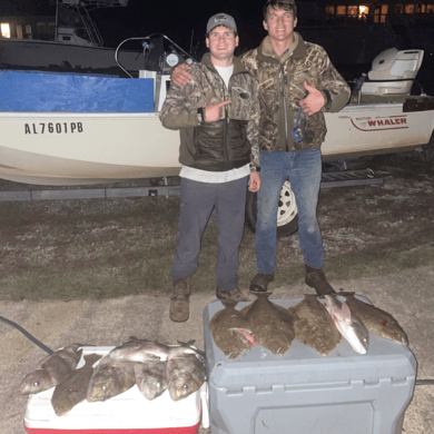 Fishing in Dauphin Island