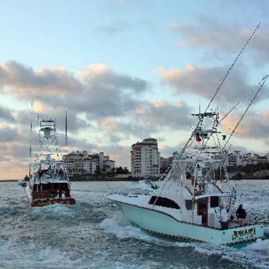 Fishing in Key Biscayne