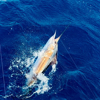 Fishing in Pompano Beach