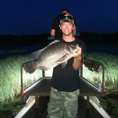 Kissimmee
