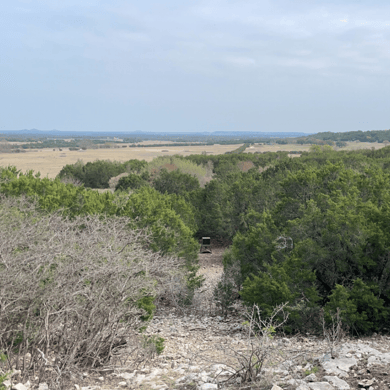 Hunting in Leander