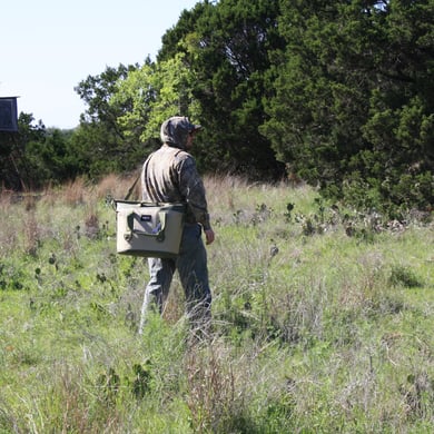 Hunting in Leander