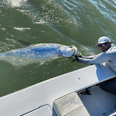 Fishing in Everglades City