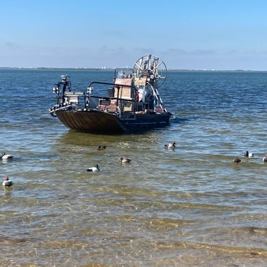 Hunting in Corpus Christi