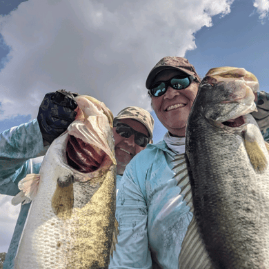 Fishing in Lake Wales