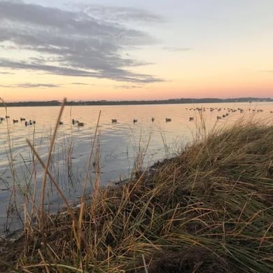 Hunting in Santa Rosa Beach