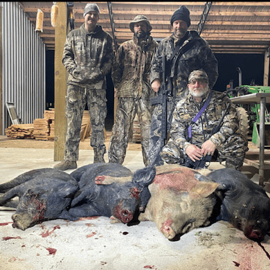 hog hunting trips alabama