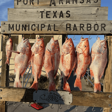 Fishing in Port Aransas