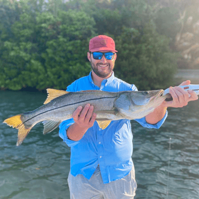 Fishing in Sarasota