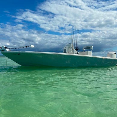 Fishing in Sarasota