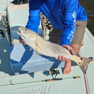 Fishing in Naples