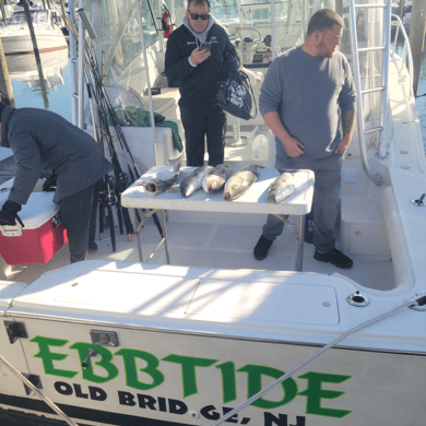 chartered fishing trips