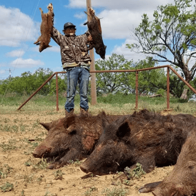 Hunting in Corpus Christi