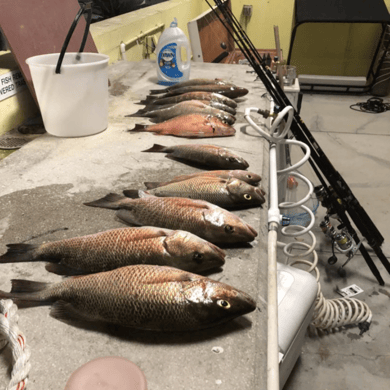 Fishing in Key Biscayne