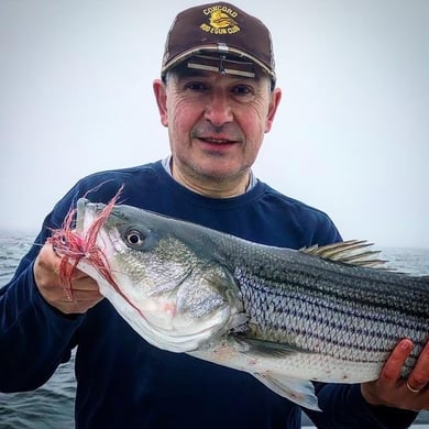 The 15 Best Striped Bass Fishing Charters in Massachusetts