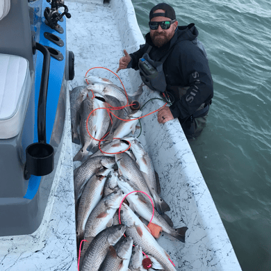 Fishing in Rockport