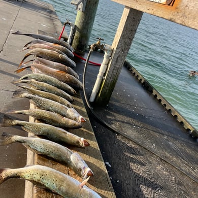 Fishing in Rockport