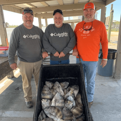 Fishing in Boothville-Venice