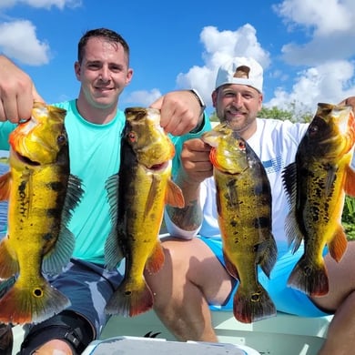 The 15 Best Peacock Bass Fishing Guides in Florida