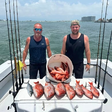 The 15 Best Vermillion Snapper Fishing Charters in Pensacola