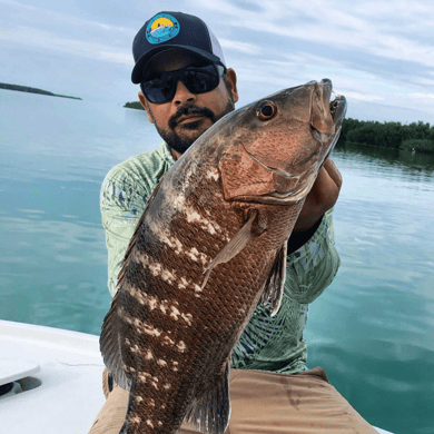 Fishing in Tavernier