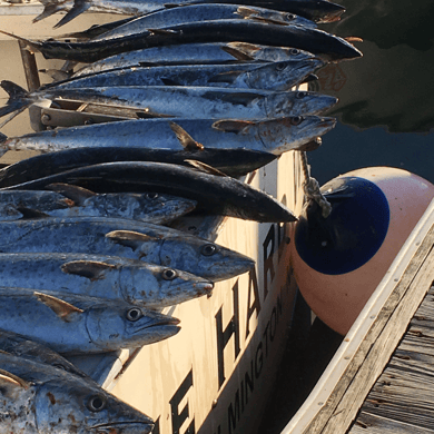 Fishing in Wrightsville Beach