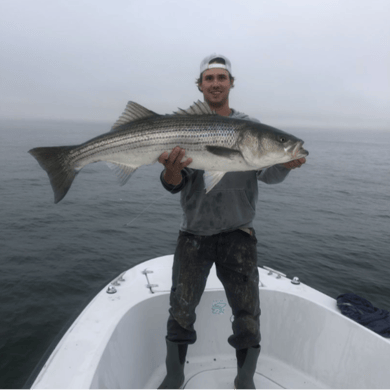 Fishing in Falmouth