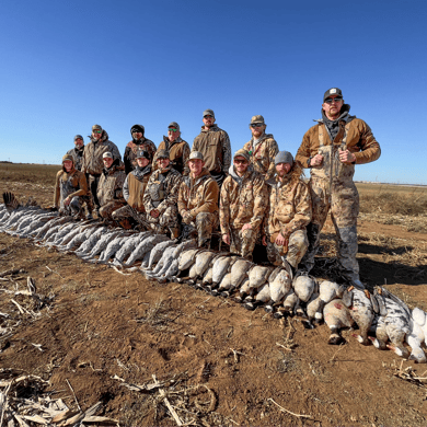 Lubbock