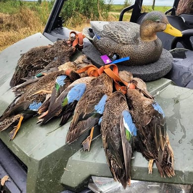 The 15 Best Duck Hunting Guides in Texas