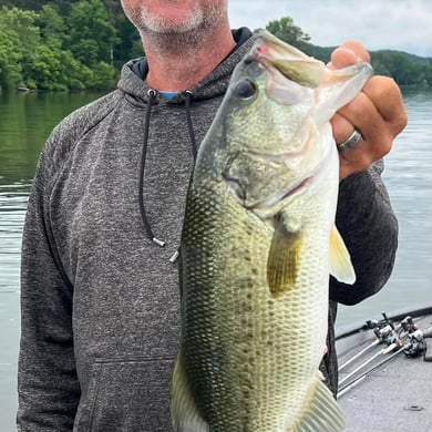 Guntersville