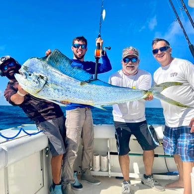 Mahi Mahi
